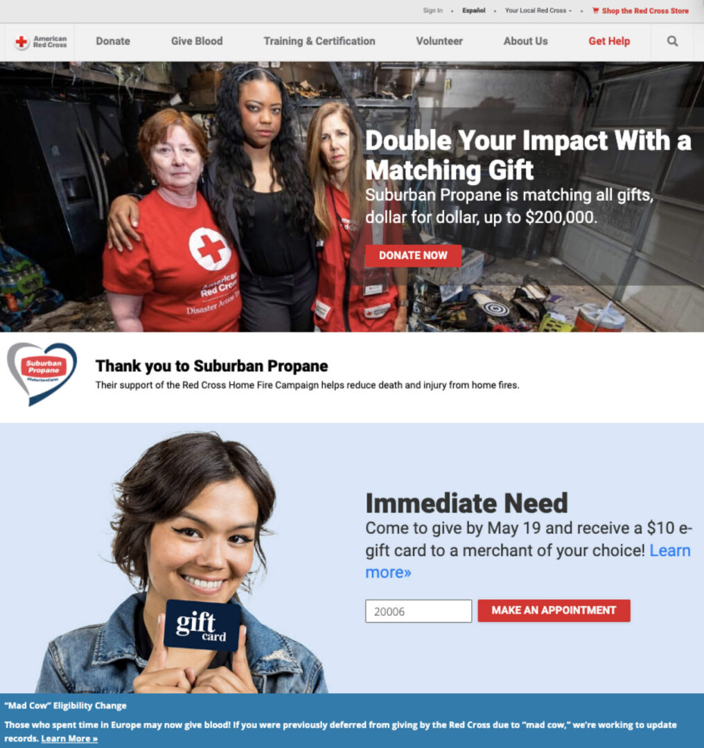 Nonprofit Websites