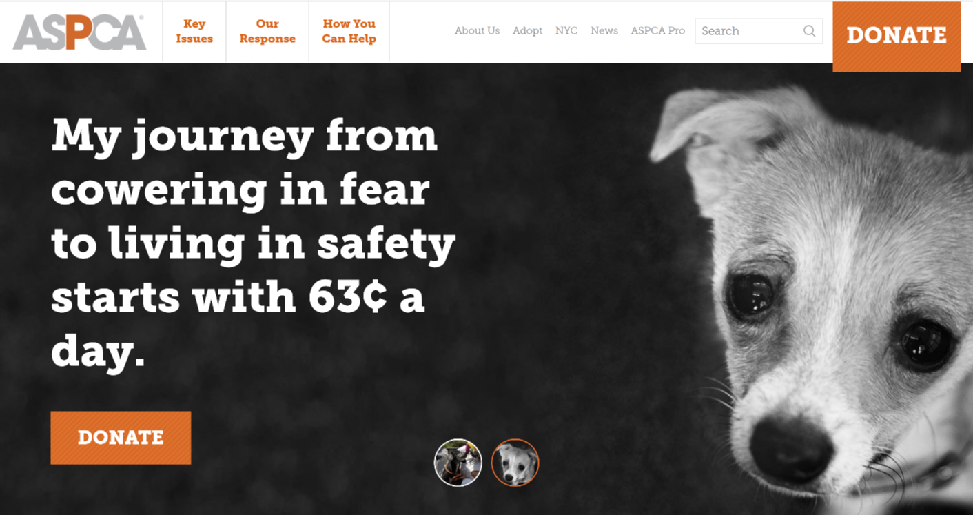 ASPCA Homepage-1