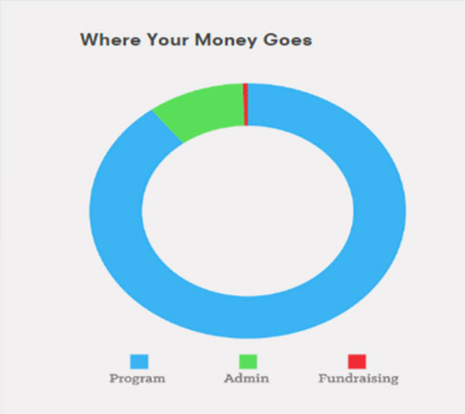 Nonprofit Data Visualization