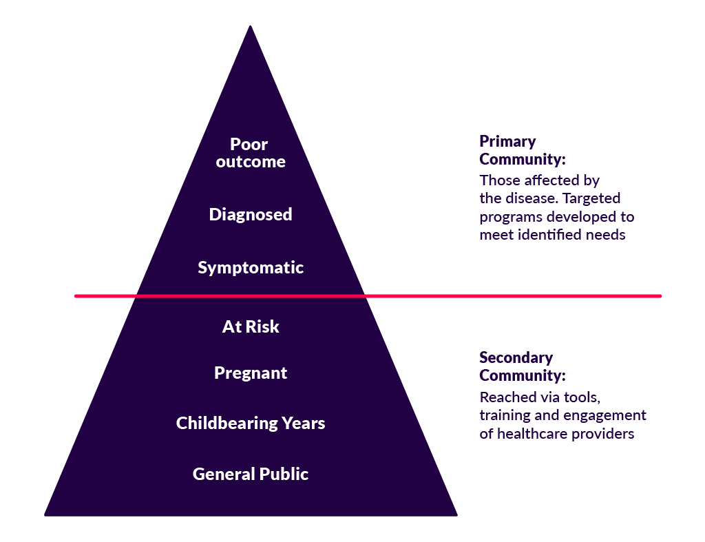Pyramid that is divided into two sections, "Primary audience" on top and "Secondary audience on bottom." Primary audience is sub-divided into levels, which are labeled from top to bottom: Poor outcome, Diagnosed, Symptomatic, At Risk. Secondary audience is also sub-divided into levels, which are labeled from top to bottom: Pregnant, Childbearing Years, General Public.