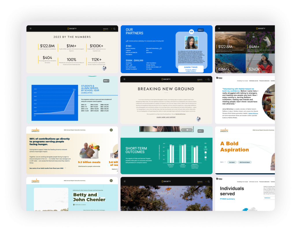Annual report microsite examples
