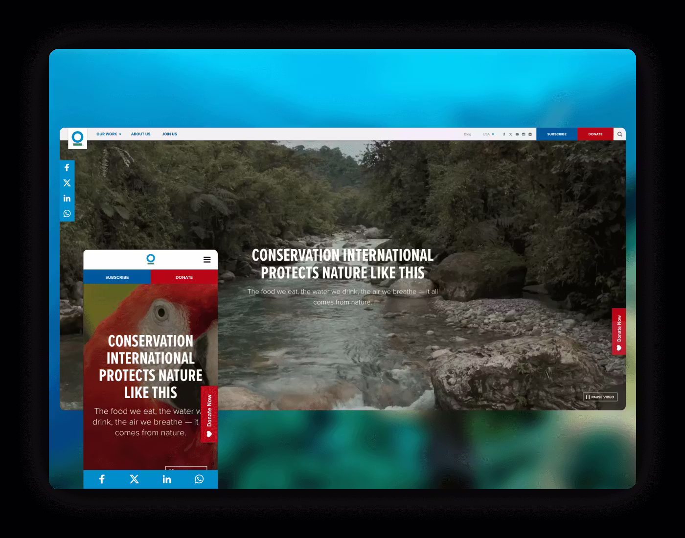 Conservation International Mockup