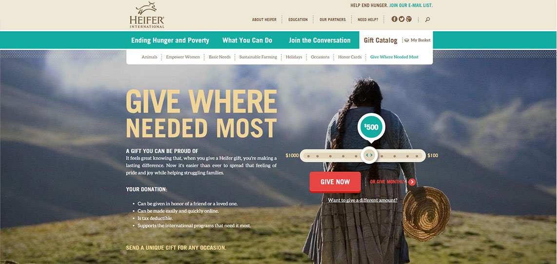 Nonprofit Website Redesign Elevation Donation Button