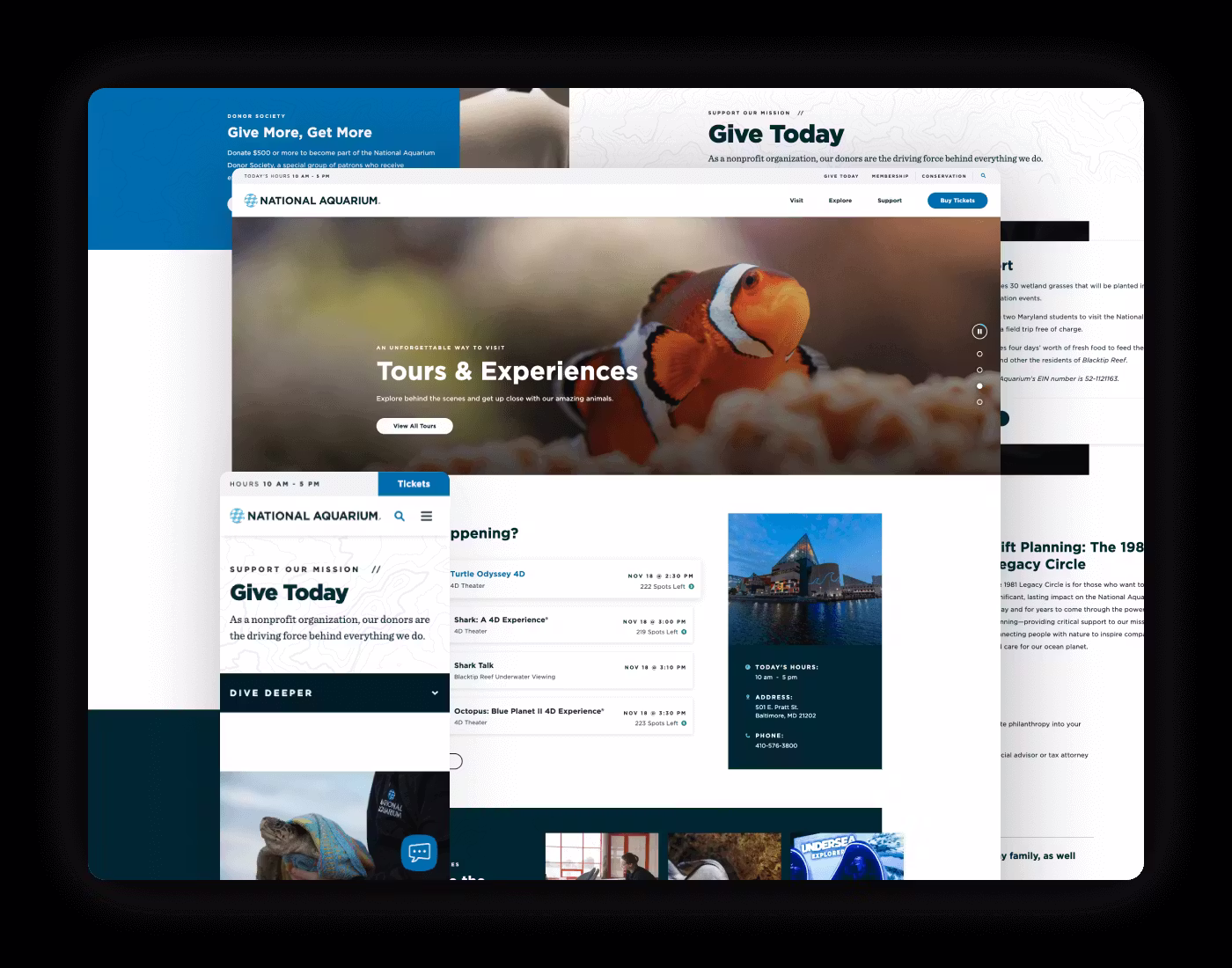 National Aquarium Mockup