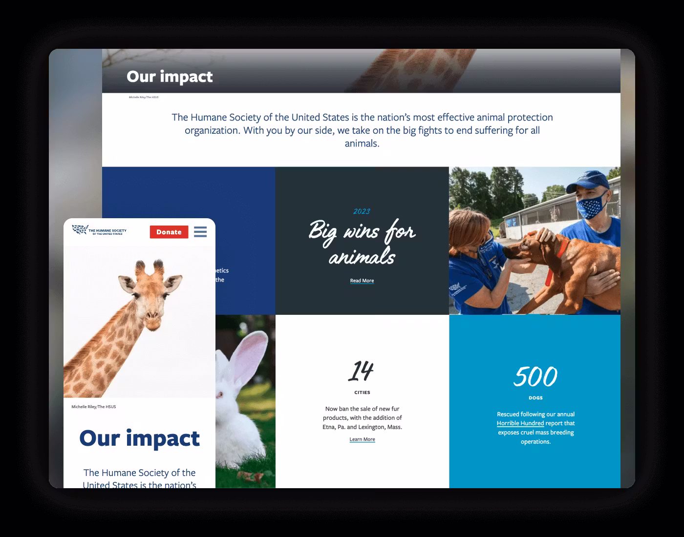 The Humane Society Of The United States Mockup