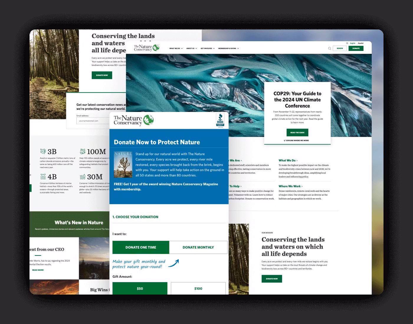 The Nature Conservancy Mockup