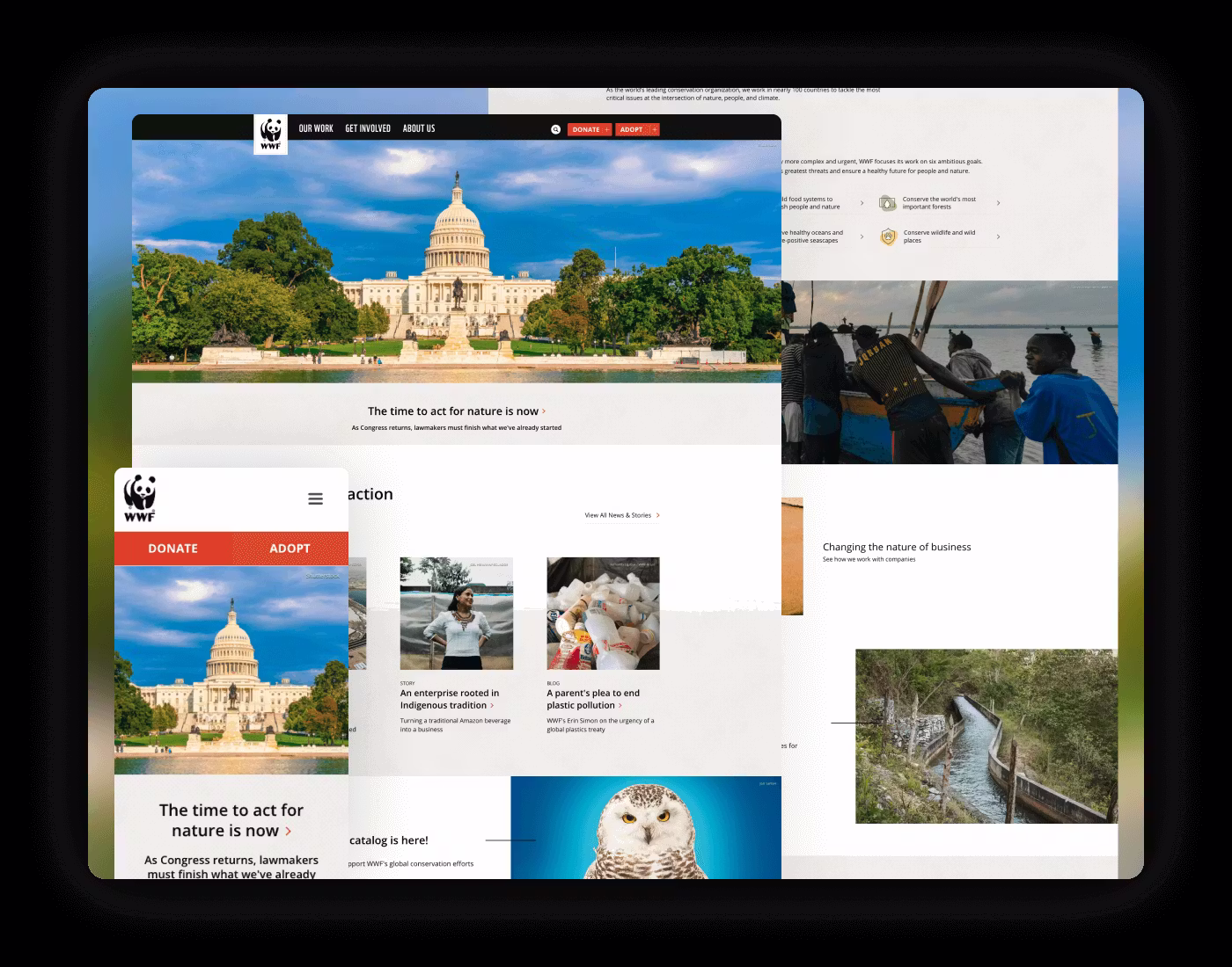 World Wildlife Fund Wwf Mockup