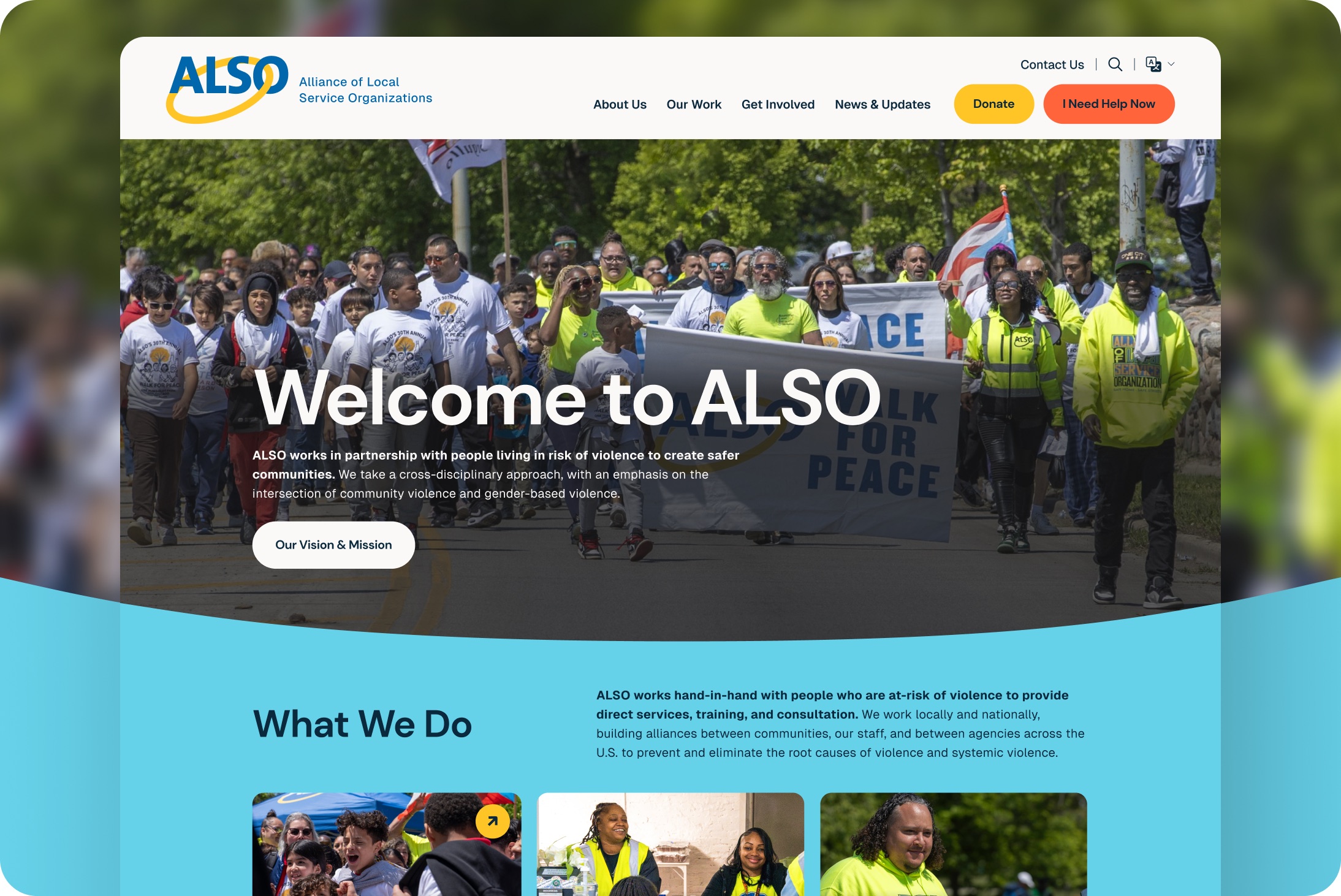 Alliance of Local Service Organizations website design by Elevation