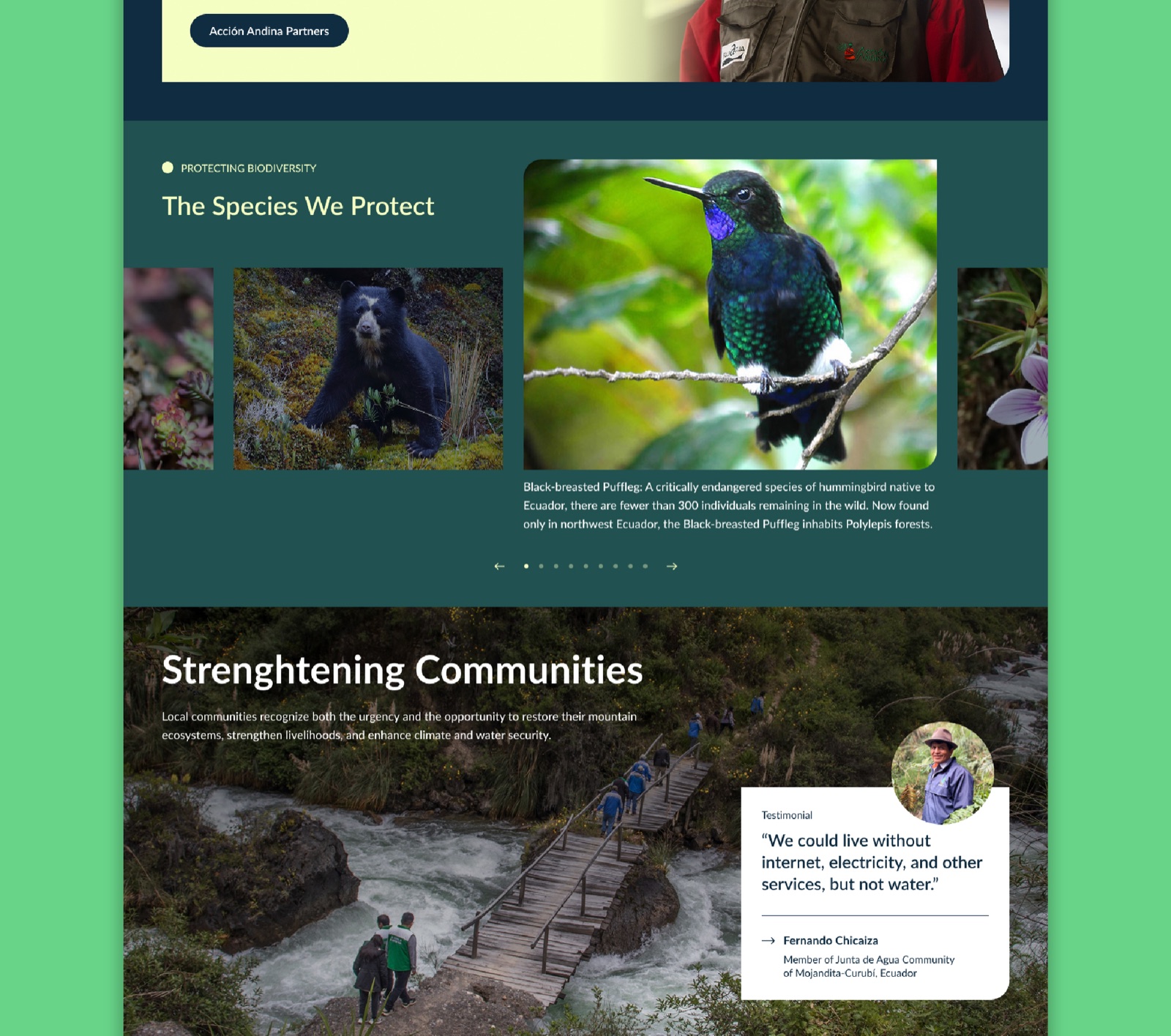 Global Forest Generation website section design