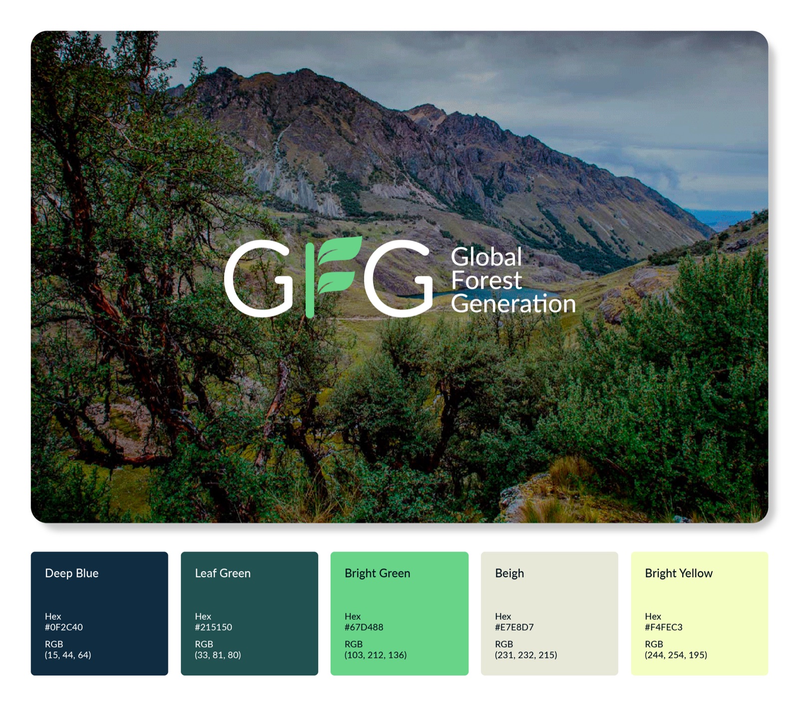 Global Forest Generation website design details by Elevation