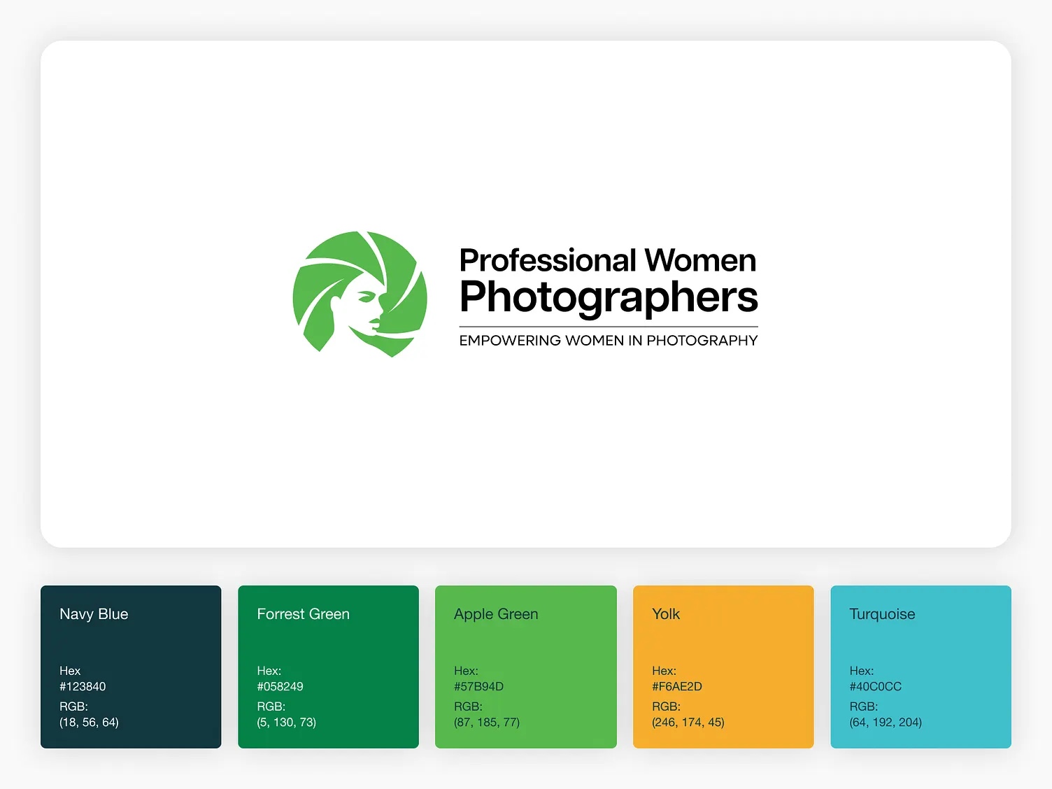 Professional Women Photographers website design by Elevation