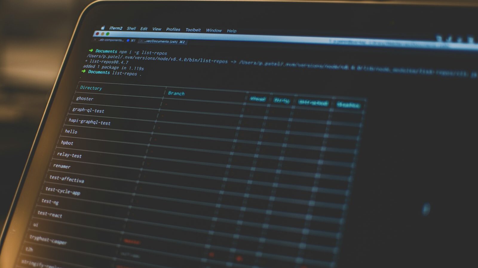 Laptop screen showing a terminal window with a command line program